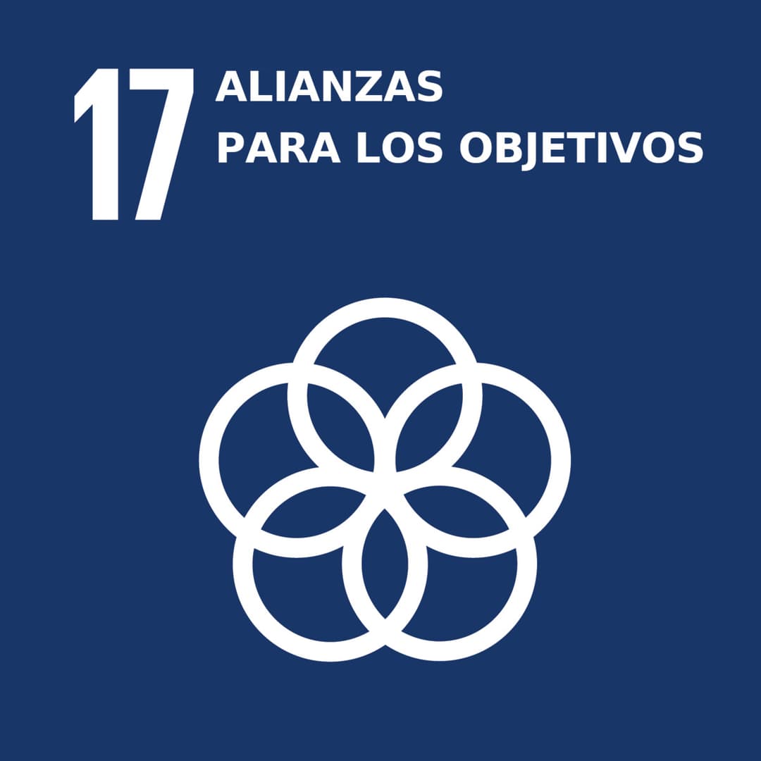 Alianzas para Lograr los Objetivos